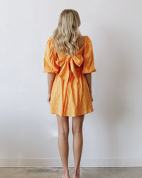 Mirabella Mini Dress