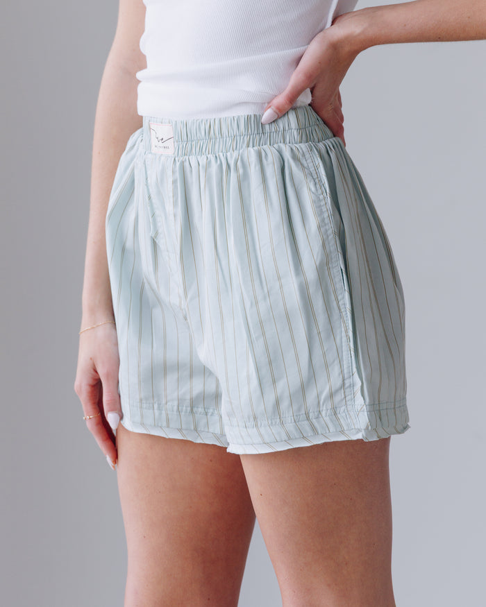 Day to Day Striped Boxer
