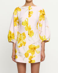 Francine Mini Dress