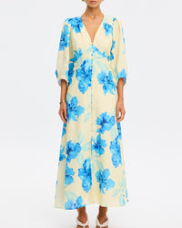 Sophie Maxi Dress