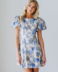 Lucia Mini Dress