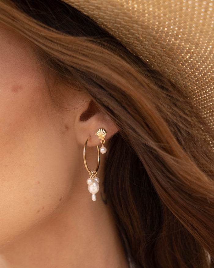 Shell Earrings